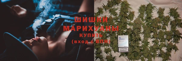 молекула духа Козельск