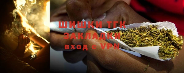 шишки Кодинск