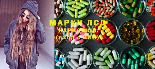 шишки Кодинск