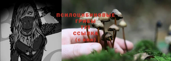 молекула духа Козельск