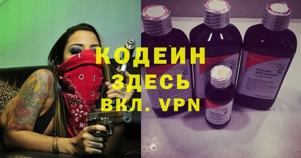 шишки Кодинск