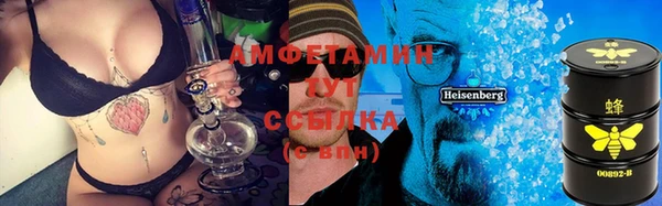 шишки Кодинск